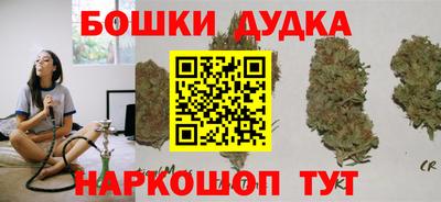 apvp Бердск